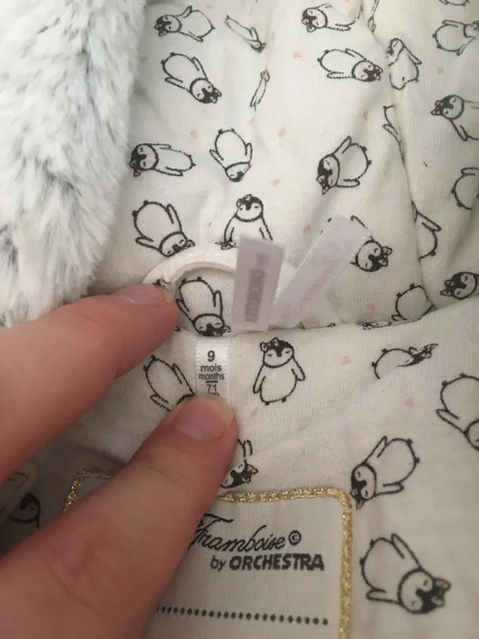 Combipilote orchestra 9 mois - photo numéro 8