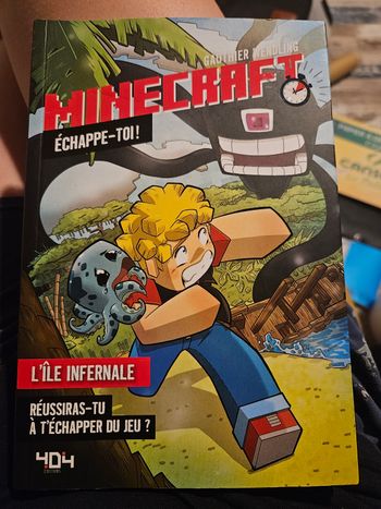 Livre minecraft