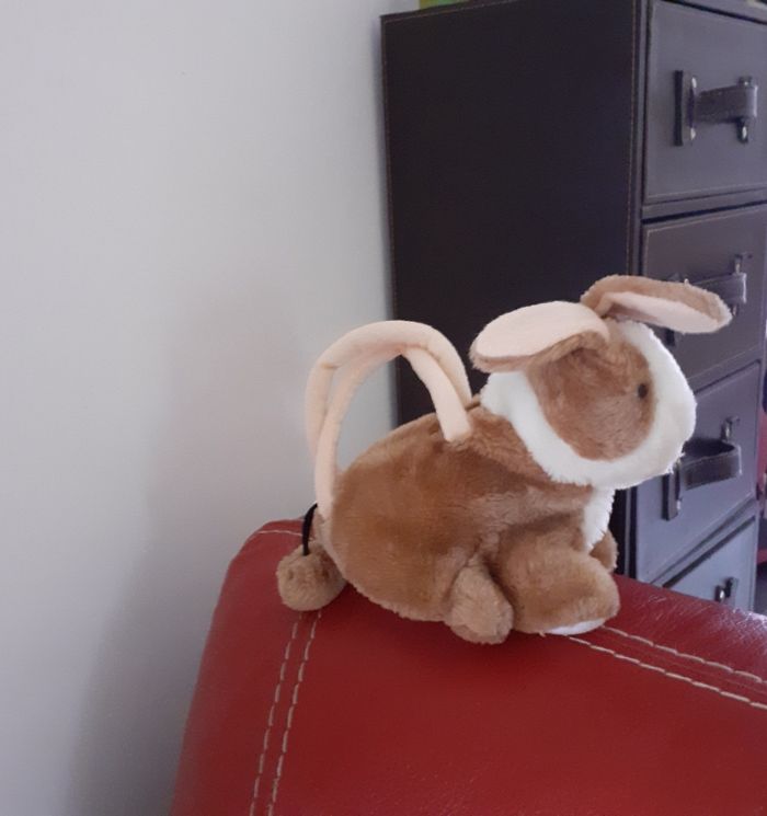 Peluche Lapinou = Petit sac zippé - photo numéro 5