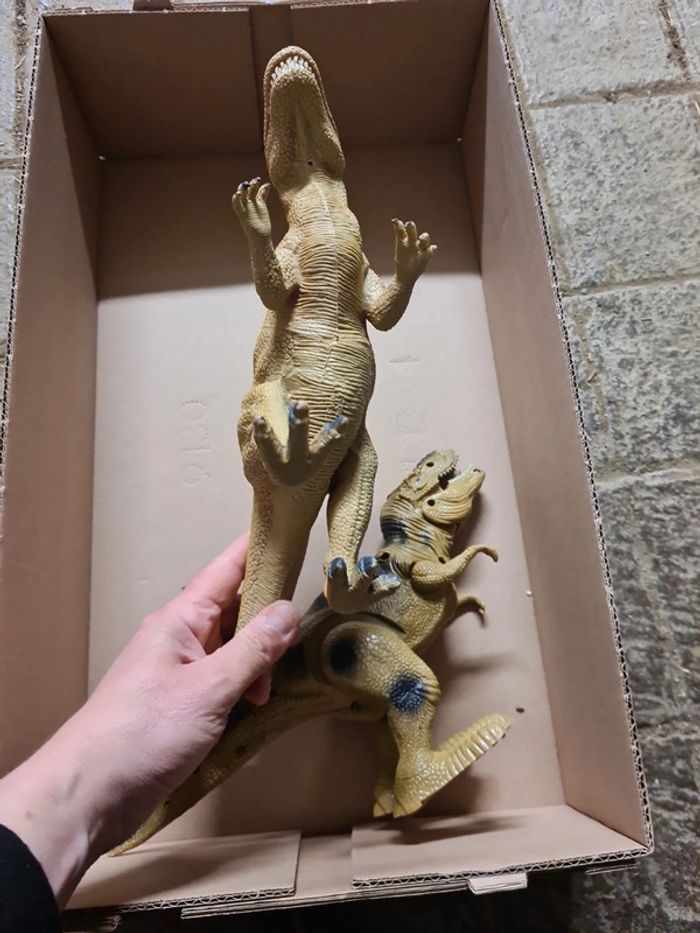 2 dinosaures - photo numéro 4
