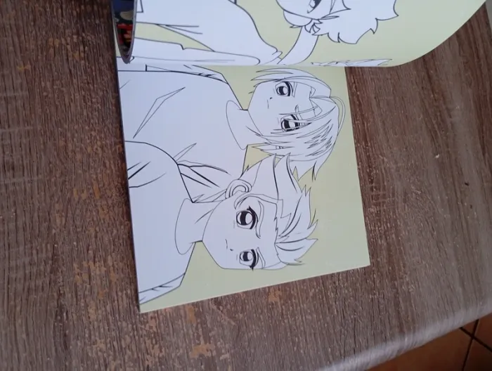 Coloriage Manga NEUF - photo numéro 3