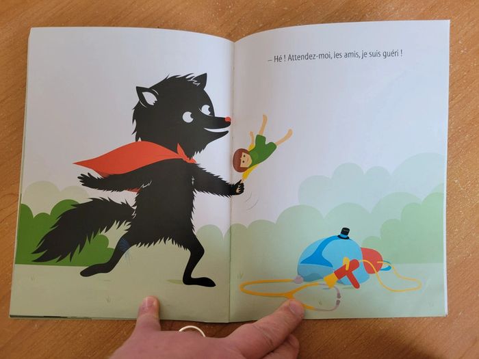 Album / Livre - photo numéro 5