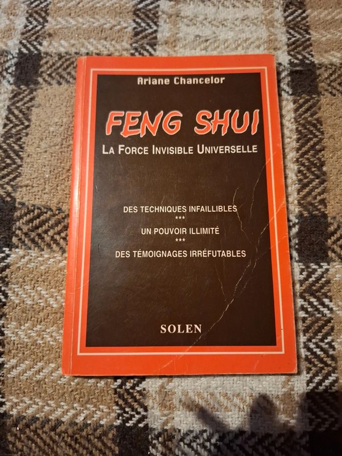 Feng shui. La force invisible universelle