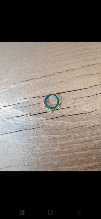 Bijou Miraculous du Boeuf – univers Ladybug (livre)