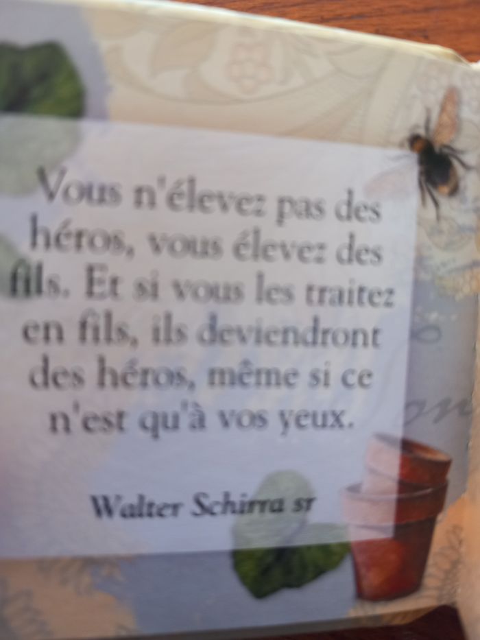 Mini livre peu de parents ont la chance d'avoir un fils comme  toi - photo numéro 3