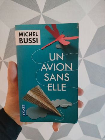 Un avion sans elle
