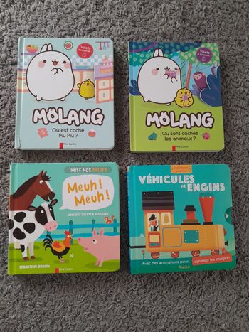 Lot 4 livres enfants