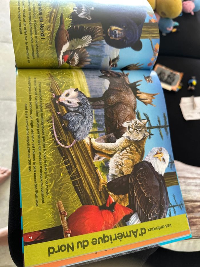 Livre les animaux du monde - photo numéro 3