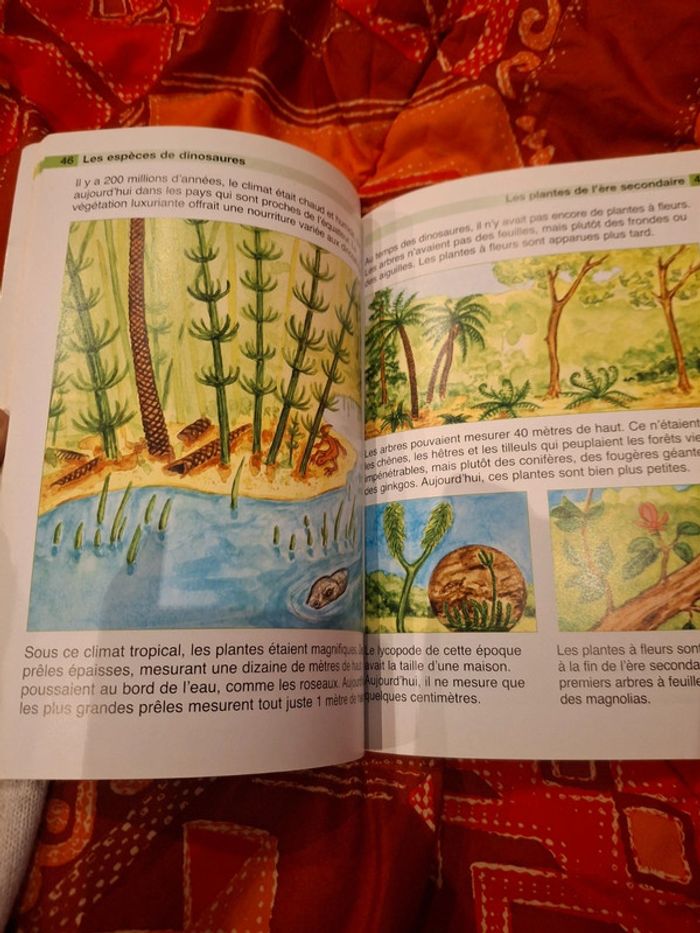 Livre Dinosaure enfant - photo numéro 3