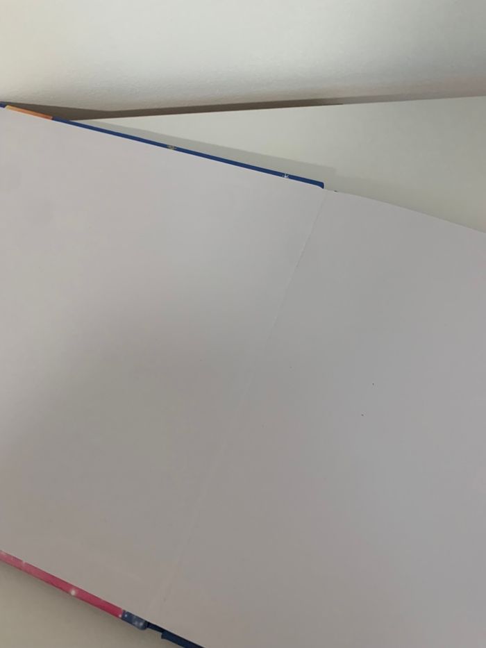 Max magique - photo numéro 5