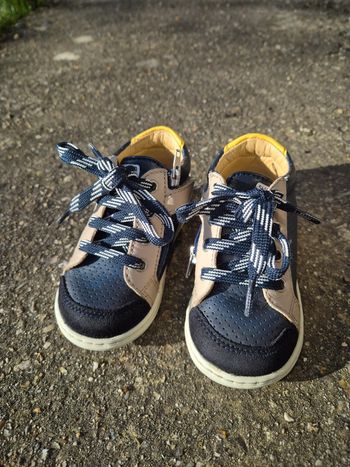 Chaussures Shoo Pom T21