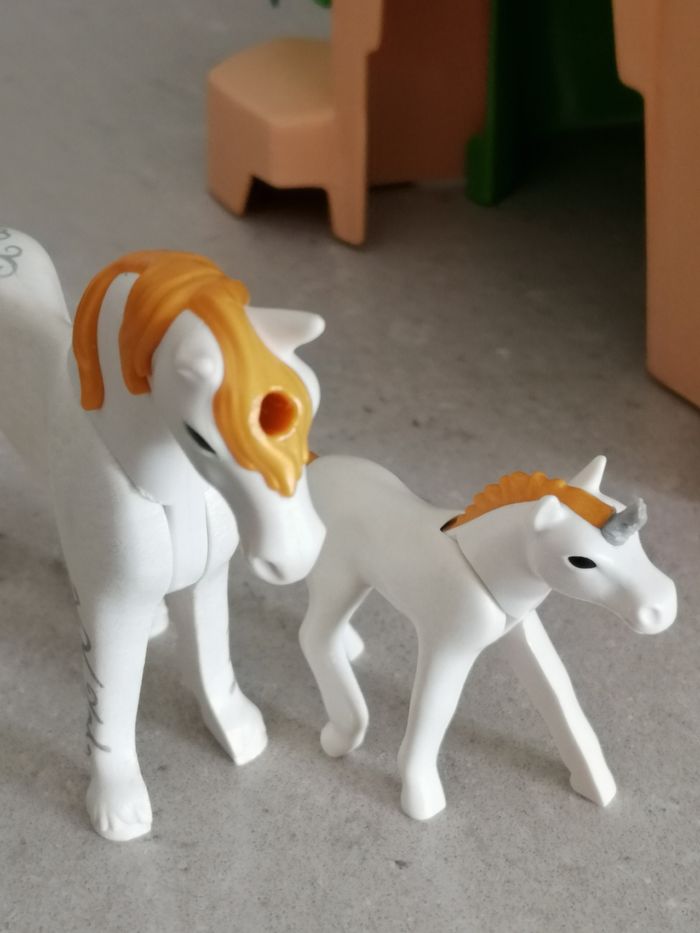 Playmobil Fairies - photo numéro 9