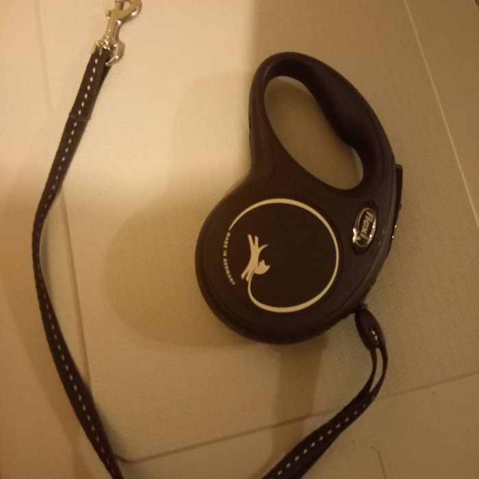 Harnais Julius + laisse Flexi pour petit chien