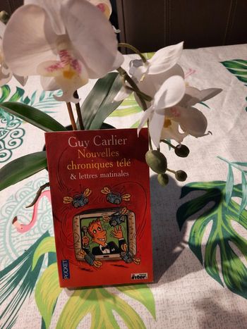 Nouvelles chroniques et lettres matinales