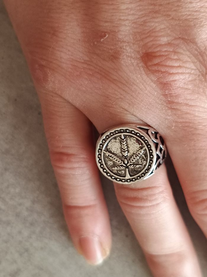 Bague homme - photo numéro 3