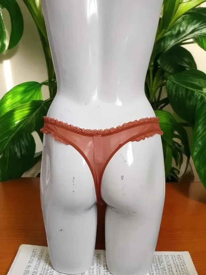 String Aimée L. 40 - photo numéro 4