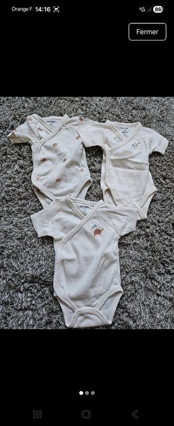 Lot de 3 bodys manches courtes 