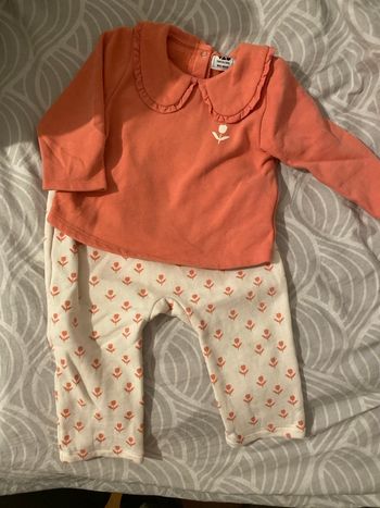 Ensemble pull + jogging tulipe