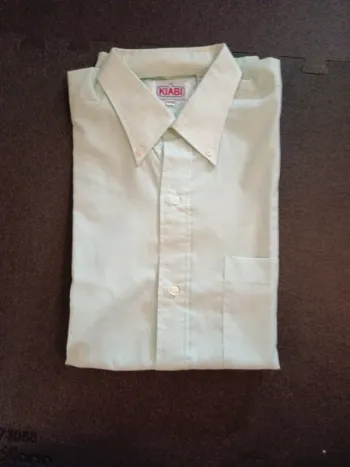 Chemise vert pâle