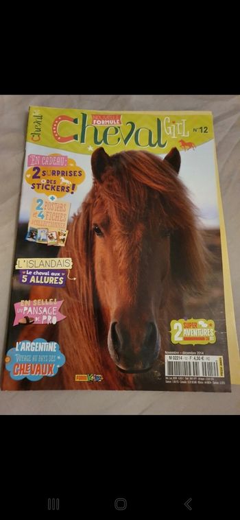 Cheval Girl n°12
