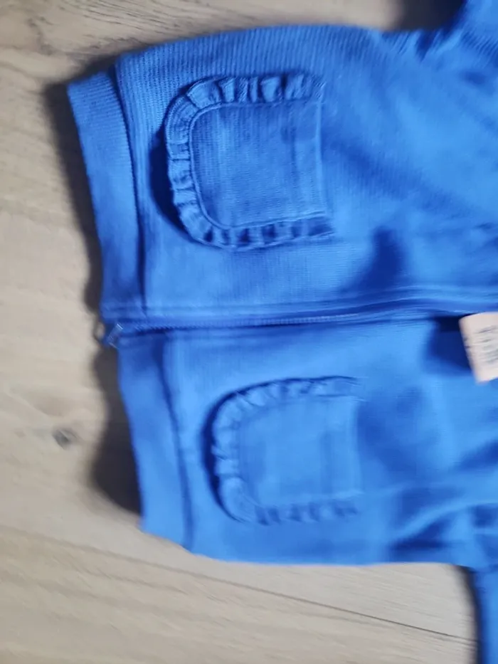 Sweat capuche zippée 24 mois - photo numéro 3