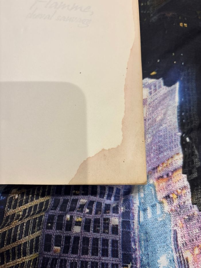 Livre flamme - photo numéro 4