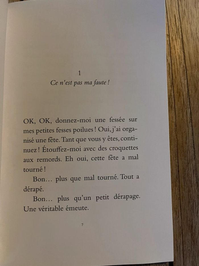 livre enfant - photo numéro 6