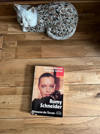 Livre biographique Romy Schneider par Françoise Arnould