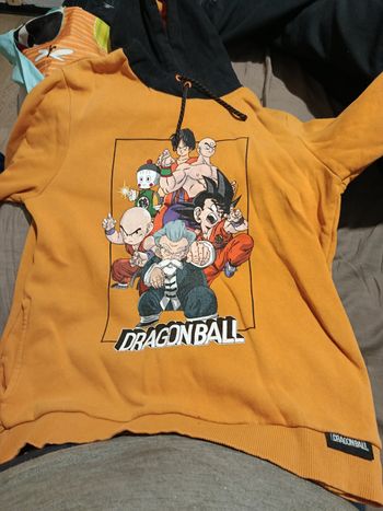 Pull dragon ball 