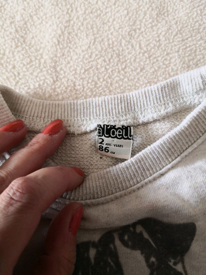 Pull chien - photo numéro 3