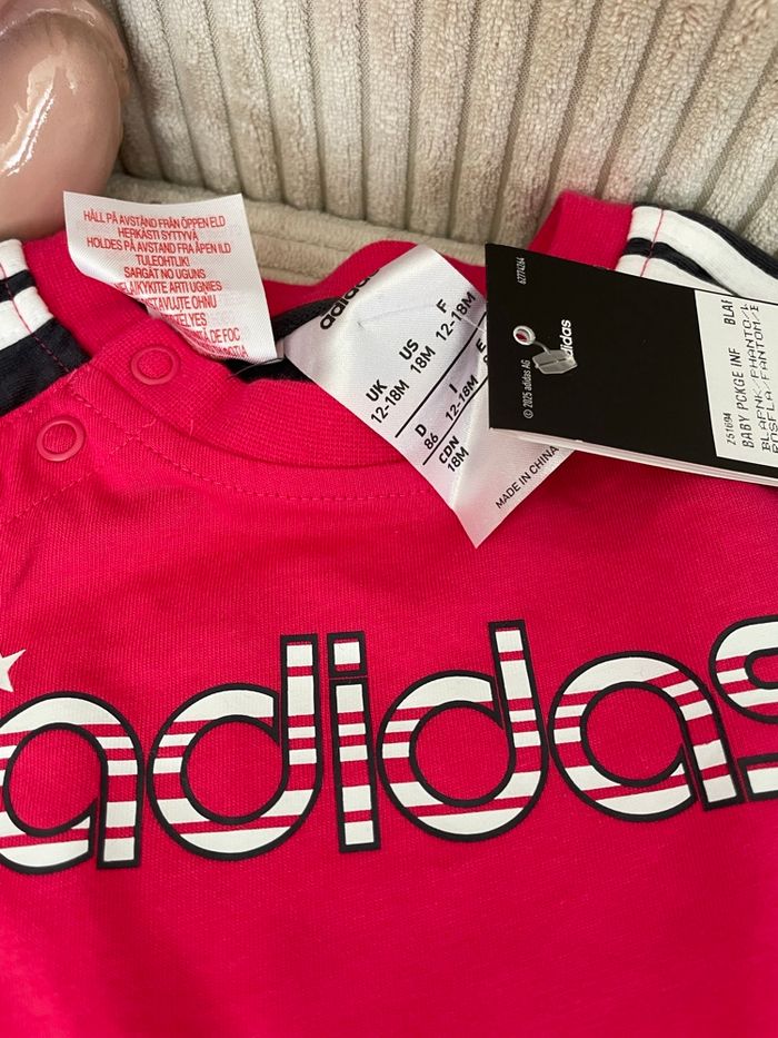 Ensemble - photo numéro 2