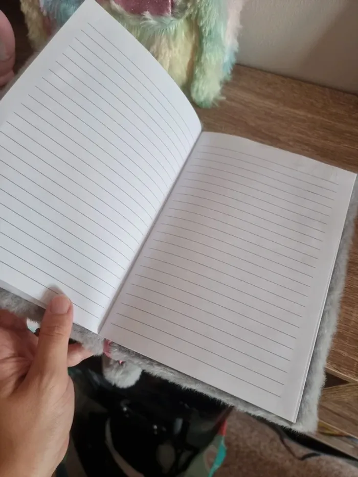Cahier écriture - photo numéro 2