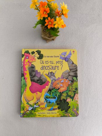 Livre Où es-tu petit dinosaure Usborne