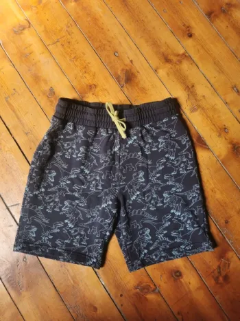 Short dinosaures