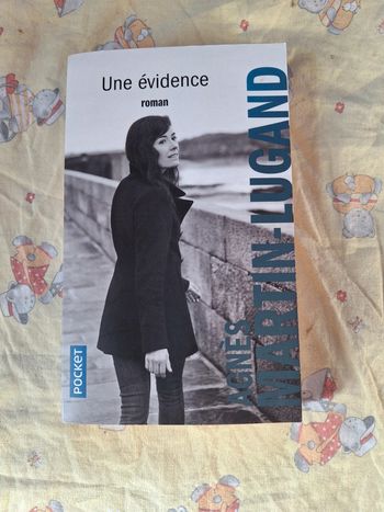 Une évidence agnes Martin lugand