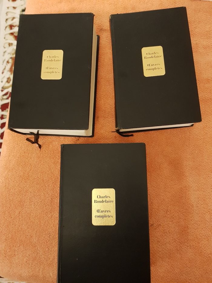 Charles  Baudelaire - photo numéro 9