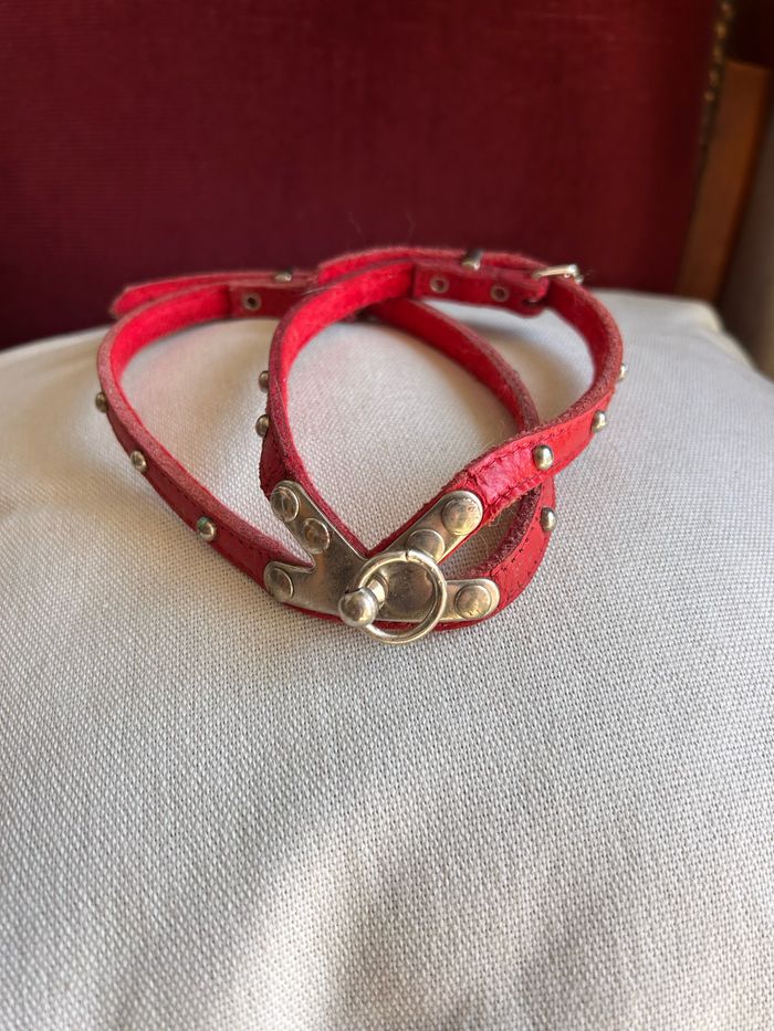 Ensemble accessoires chien - photo numéro 5