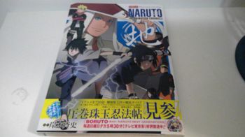 38€ Naruto The Animation Chronicle (en japonais)