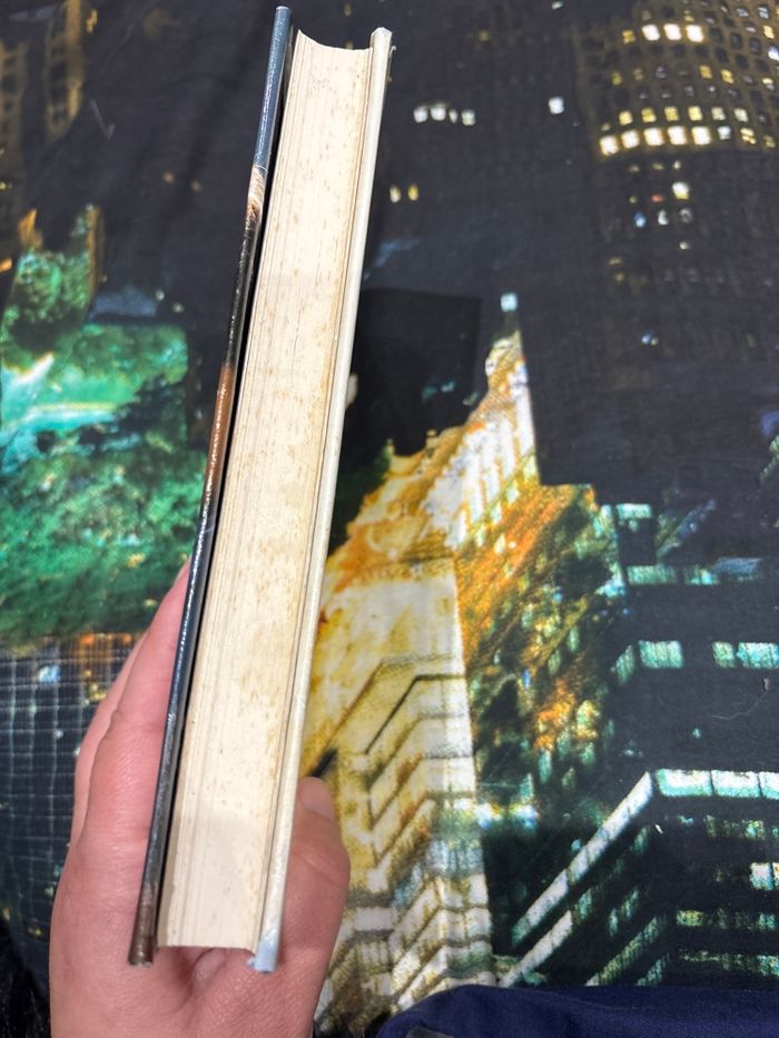 Livre au début d’un bel été - photo numéro 2