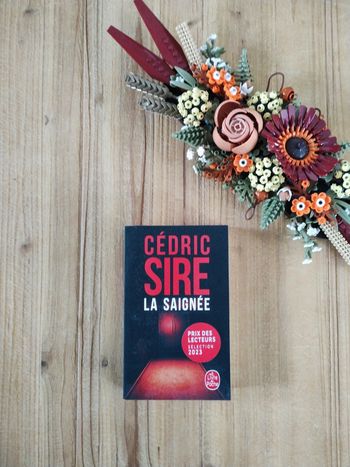 La Saignée - Cédric Sire