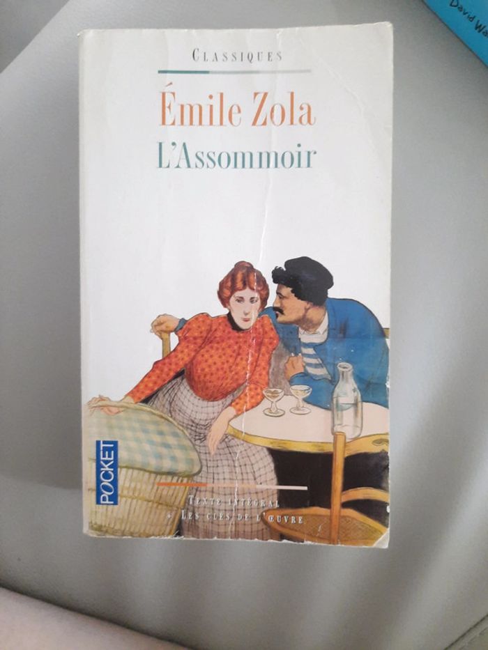 L'assomoir  Émile zola