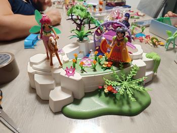 Playmobil Mare de christal