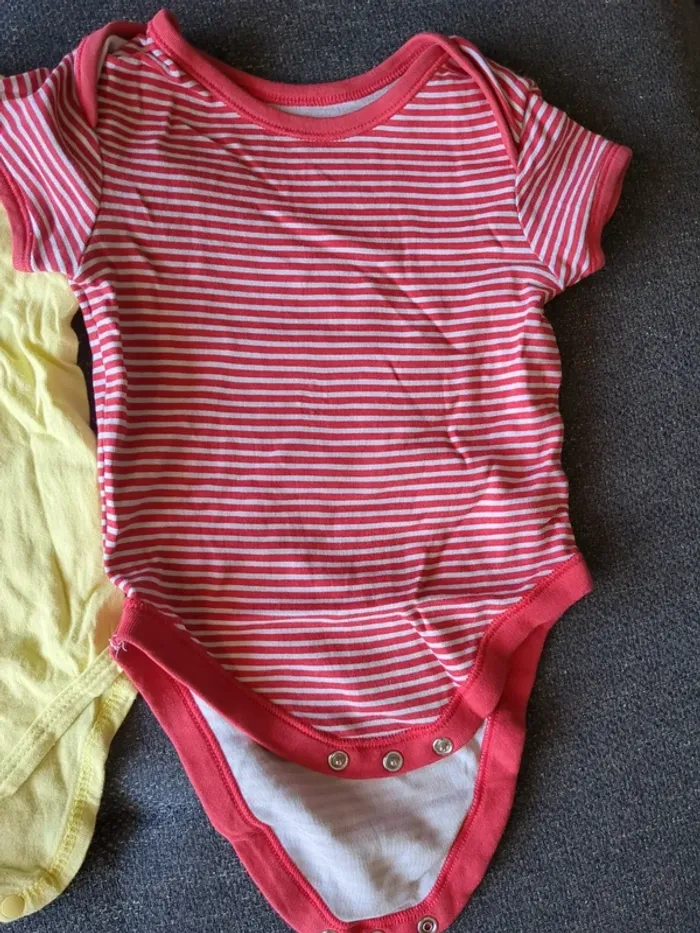 Lot de 4 bodies manches courtes 9 mois - photo numéro 5