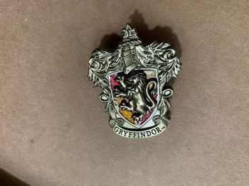 Pin’s  Gryffindor Harry Potter