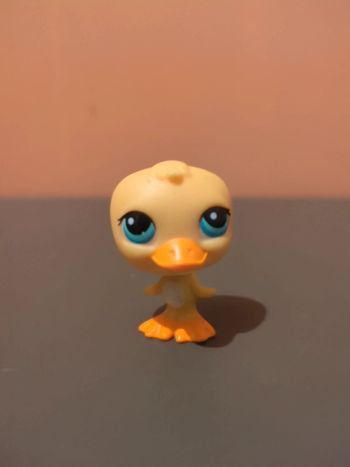 Littlest Petshop Lps Canard