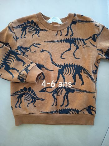 Pull 4-6 ans