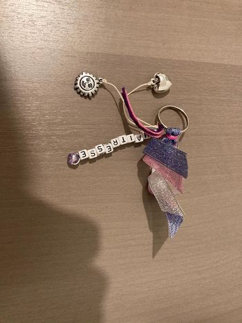 Porte clé maîtresse