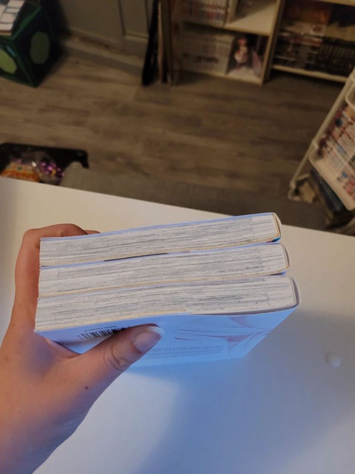 Manga yuri Anémone flamboyante - photo numéro 4