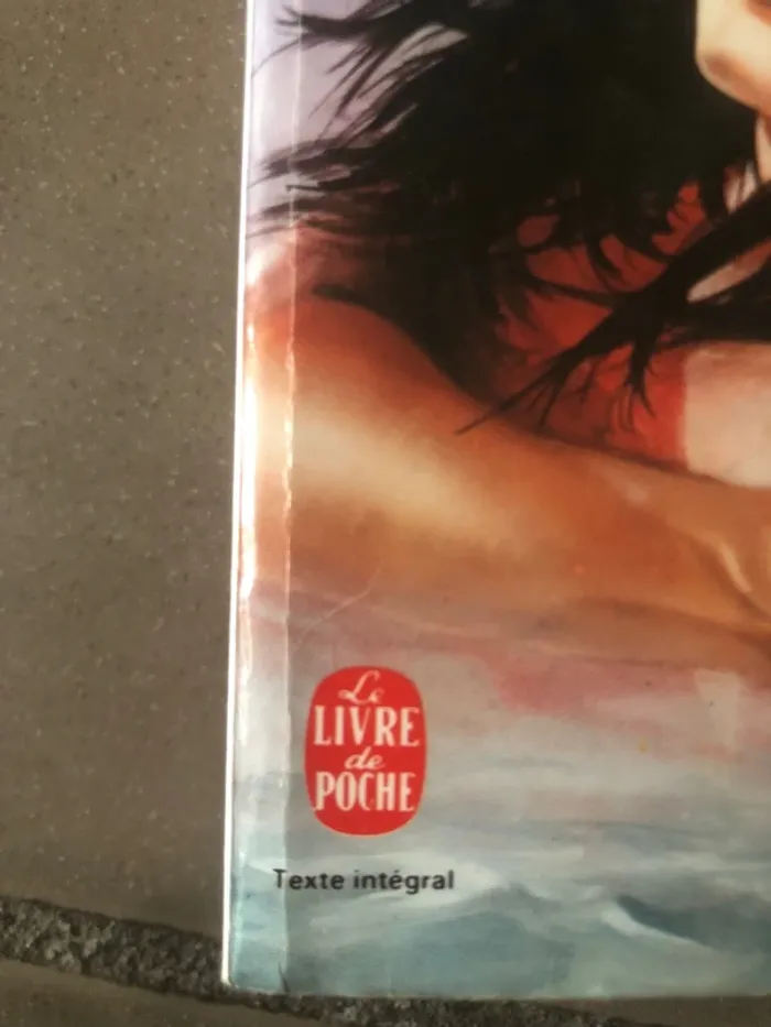 Livre la louve d’Irlande édition poche 📕 - photo numéro 5