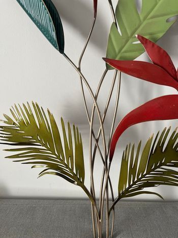 Plante décorative- oiseaux de paradis
